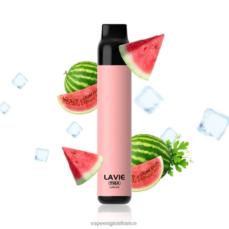 LAVIE BAR 5000 bouffées - maximum 480L0277 | Vapoteuse En Gros glace luxuriante