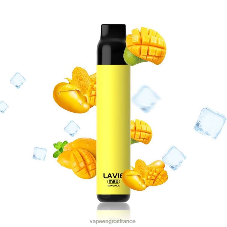 LAVIE BAR 5000 bouffées - maximum 480L0279 | Vape France Promotion glace à la mangue