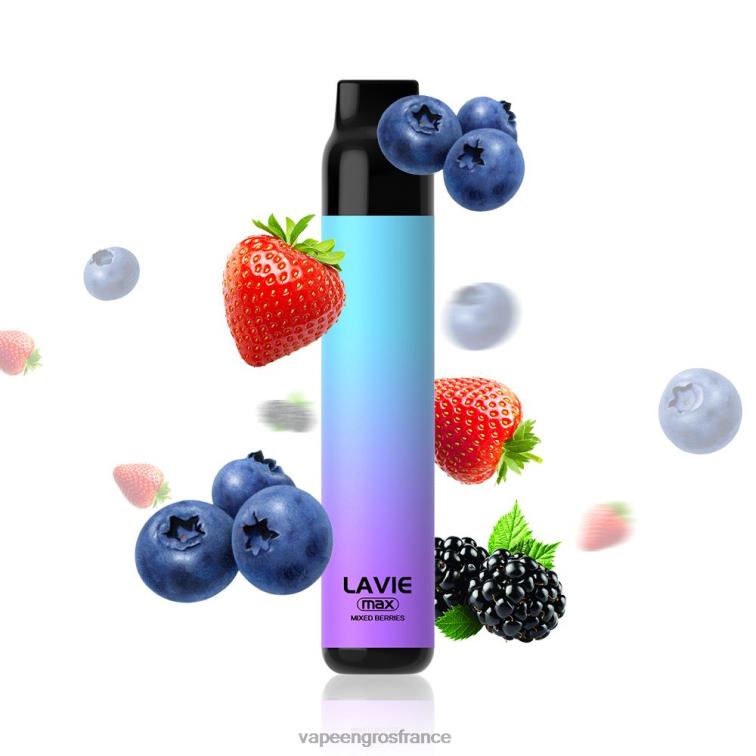 LAVIE BAR 5000 bouffées - maximum 480L0281 | Vape En Gros France baies mélangées