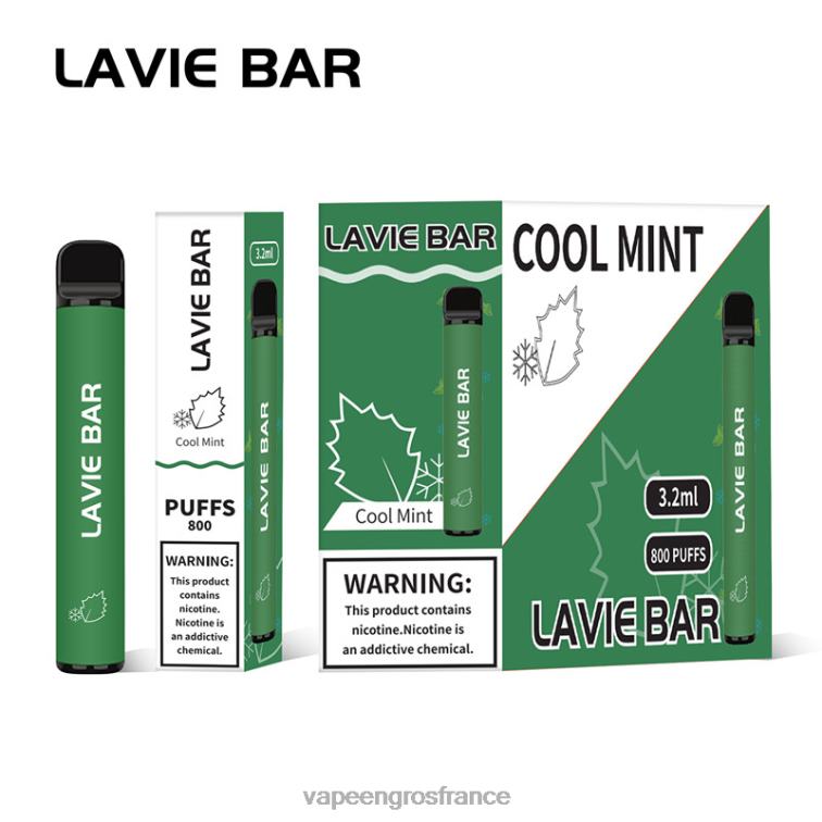 LAVIE BAR 800 bouffées 480L0311 | Vape En Gros France menthe fraîche