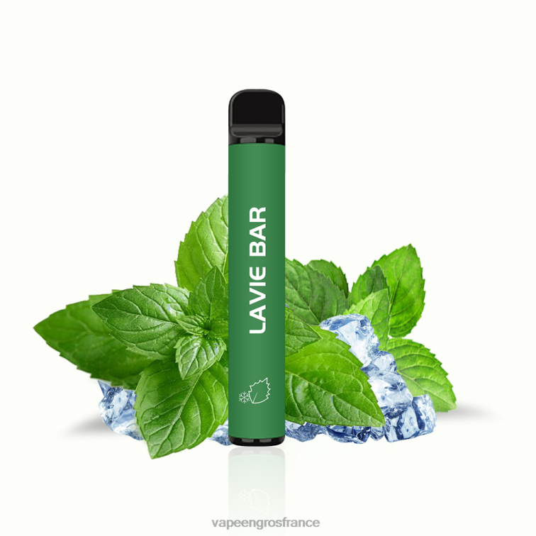 LAVIE BAR Version 2% 800 bouffées 480L0320 | Vape France Online menthe fraîche