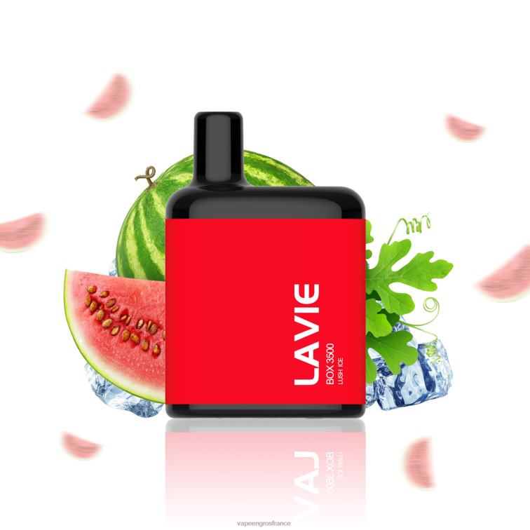LAVIE BOX 3500 bouffées 480L0211 | Vape En Gros France glace luxuriante