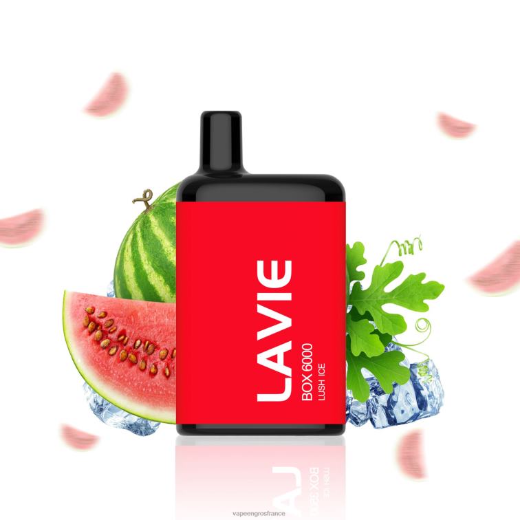 LAVIE BOX 6000 bouffées 480L0199 | Vape France Promotion glace luxuriante