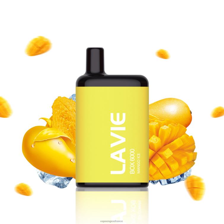 LAVIE BOX 6000 bouffées 480L0201 | Vape En Gros France glace à la mangue