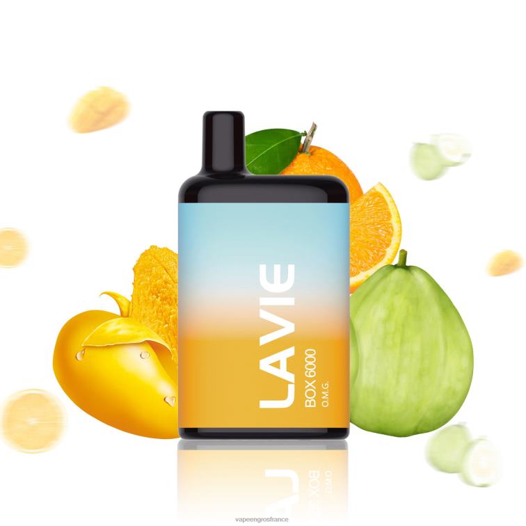 LAVIE BOX 6000 bouffées 480L0204 | Cigarette Electronique France oh mon Dieu