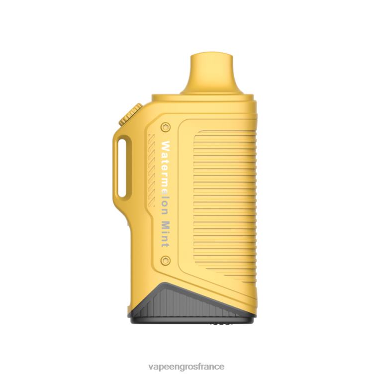 LAVIE Energy Box 15000 bouffées 480L070 | Vape France Online menthe pastèque
