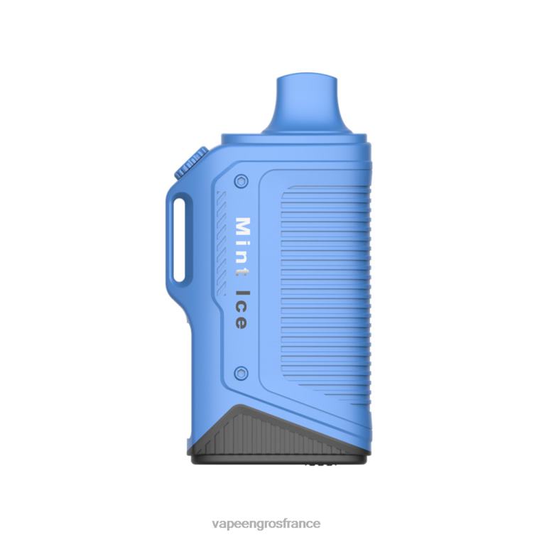 LAVIE Energy Box 15000 bouffées 480L072 | Vape France Paris glace à la menthe