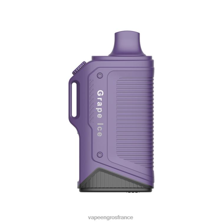 LAVIE Energy Box 15000 bouffées 480L076 | Eliquide En Gros glace aux raisins