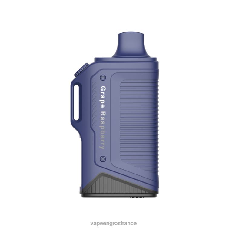 LAVIE Energy Box 15000 bouffées 480L077 | Vapoteuse En Gros raisin framboise