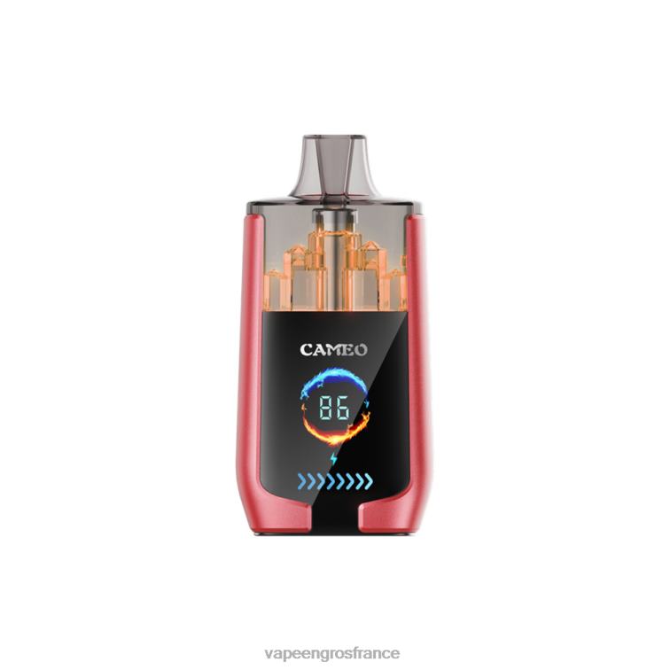 LAVIE CAMEO 30000 bouffées 480L014 | Cigarette Electronique France glace à la pastèque