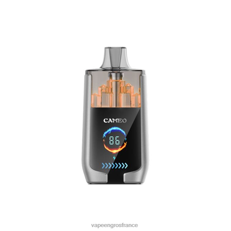 LAVIE CAMEO 30000 bouffées 480L015 | Cigarette Electronique En Gros glace aux myrtilles