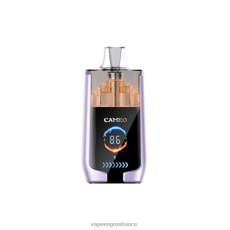 LAVIE CAMEO 30000 bouffées 480L016 | Eliquide En Gros glace aux raisins