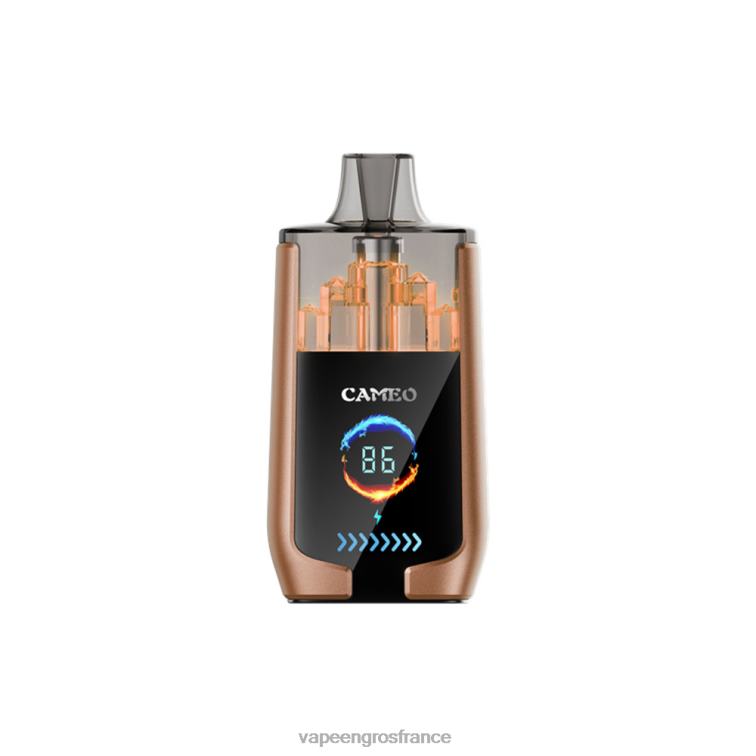 LAVIE CAMEO 30000 bouffées 480L018 | Vape France Prix glace au café