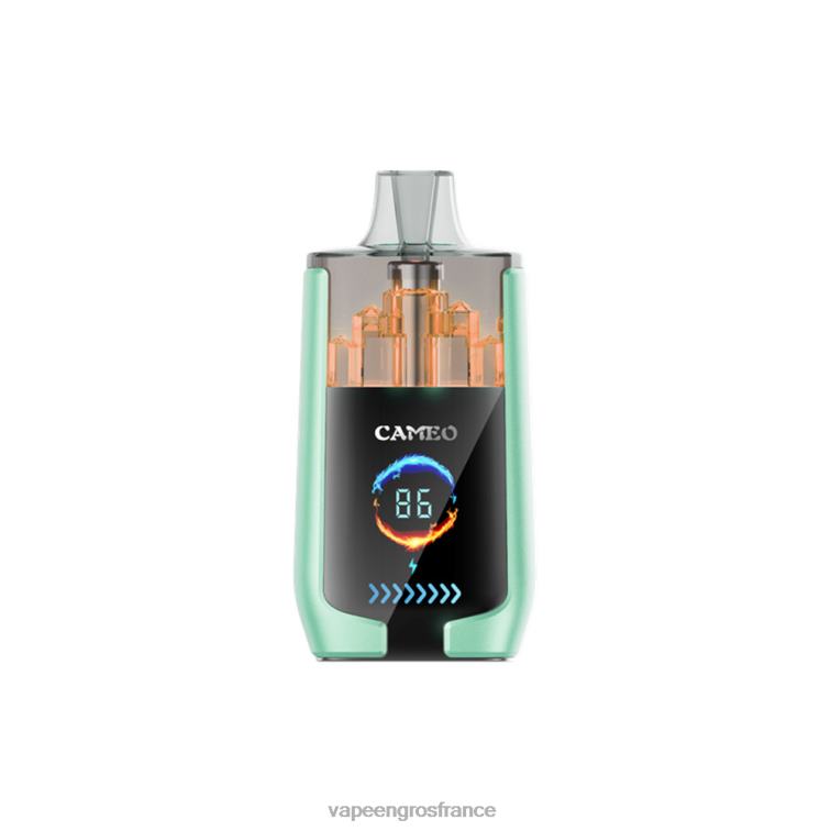 LAVIE CAMEO 30000 bouffées 480L020 | Vape France Online double pomme