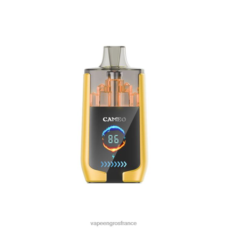 LAVIE CAMEO 30000 bouffées 480L021 | Vape En Gros France glace à la mangue