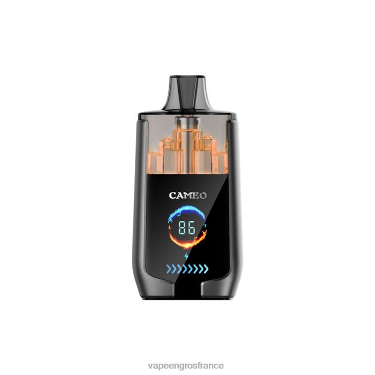 LAVIE CAMEO 30000 bouffées 480L023 | Eliquide France cola au citron