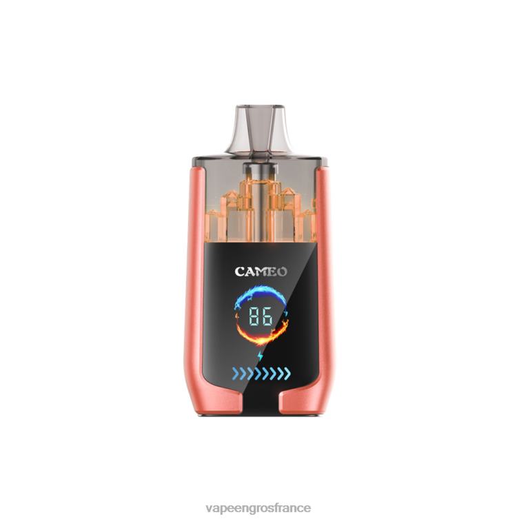 LAVIE CAMEO 30000 bouffées 480L024 | Cigarette Electronique France pastèque fraise