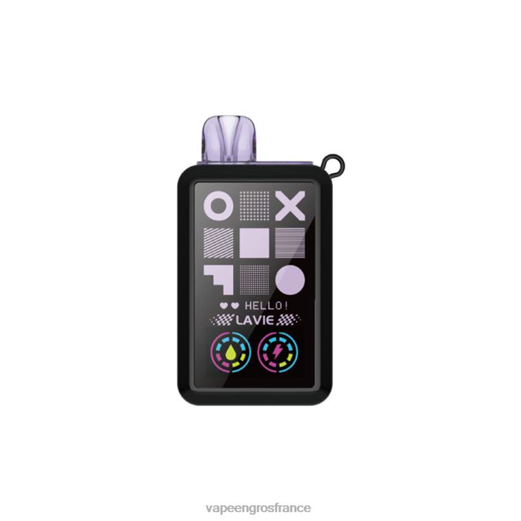 LAVIE Cyber 20000 bouffées 480L027 | Vapoteuse En Gros glace aux raisins/glace à la menthe