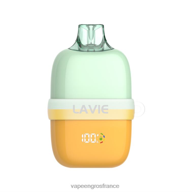 LAVIE INSIDER 12000 bouffées 480L090 | Vape France Online glace à l'orange