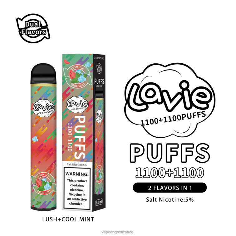 LAVIE BAR Switch 2200 bouffées 480L0294 | Cigarette Electronique France menthe luxuriante/fraîche
