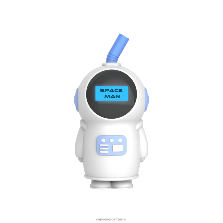 LAVIE SPACE MAN 7000 bouffées 480L0227 | Vapoteuse En Gros glace au melon
