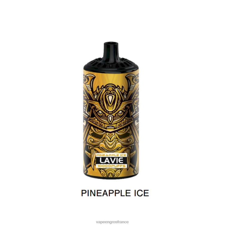 LAVIE BEAST 10000 bouffées 480L0367 | Vapoteuse En Gros glace à l\'ananas