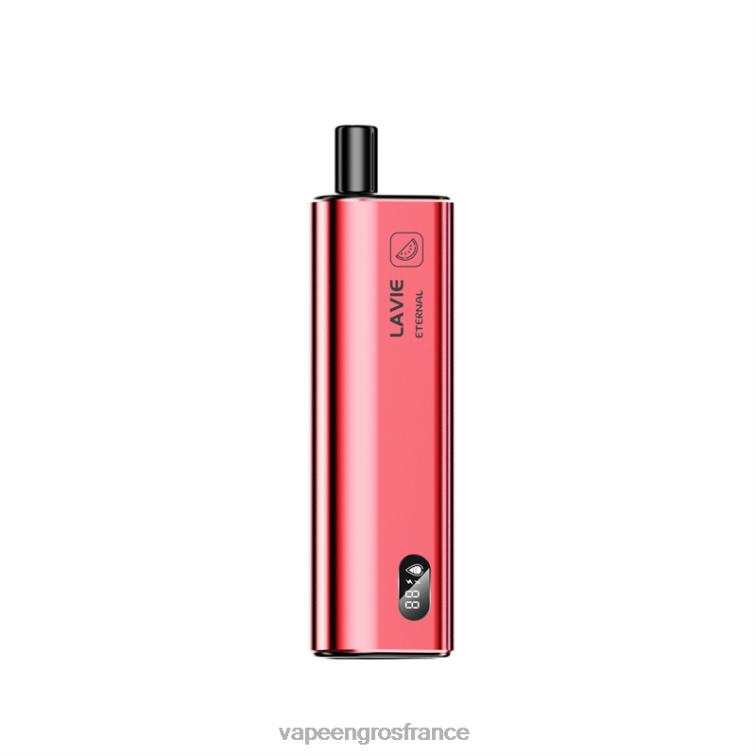 LAVIE ETERNAL 10000 bouffées 480L0118 | Vape France Prix glace à la pastèque