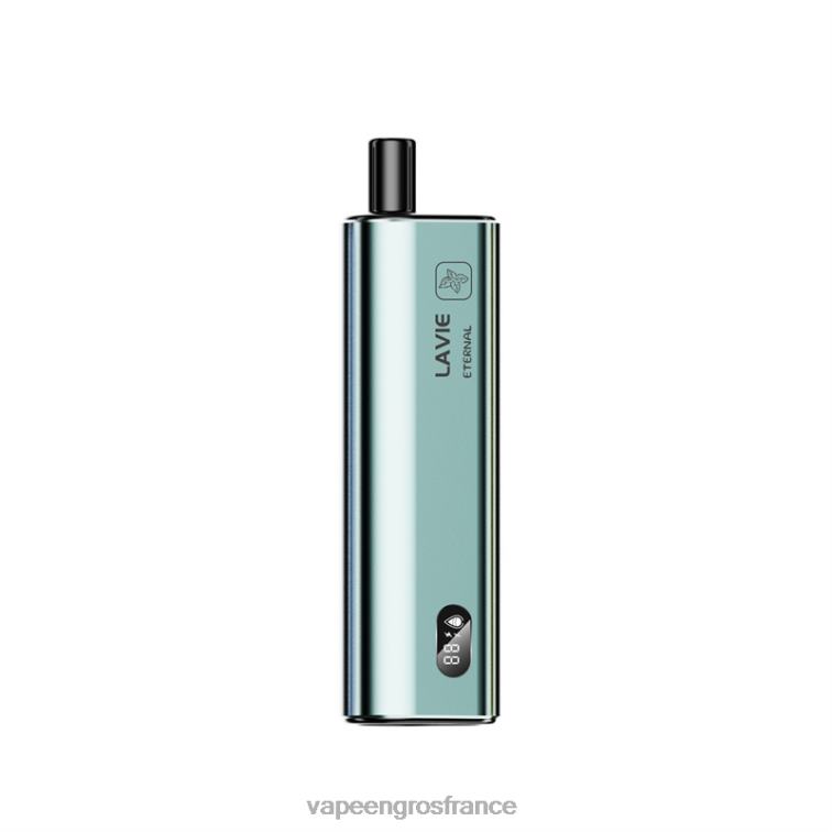 LAVIE ETERNAL 10000 bouffées 480L0121 | Vape En Gros France glace à la menthe