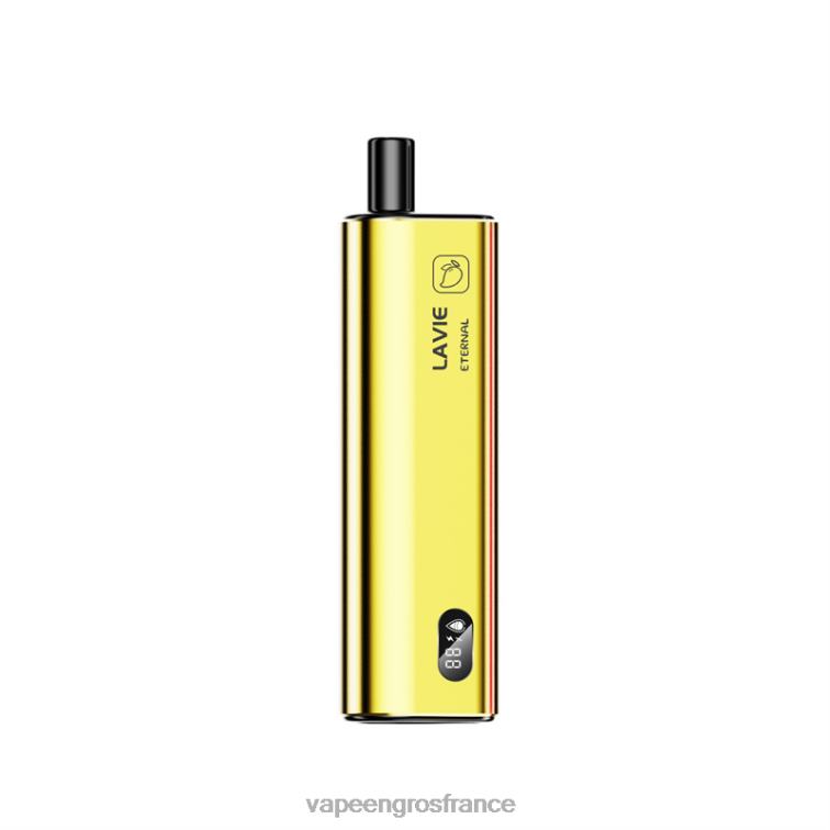 LAVIE ETERNAL 10000 bouffées 480L0122 | Vape France Paris glace à la mangue