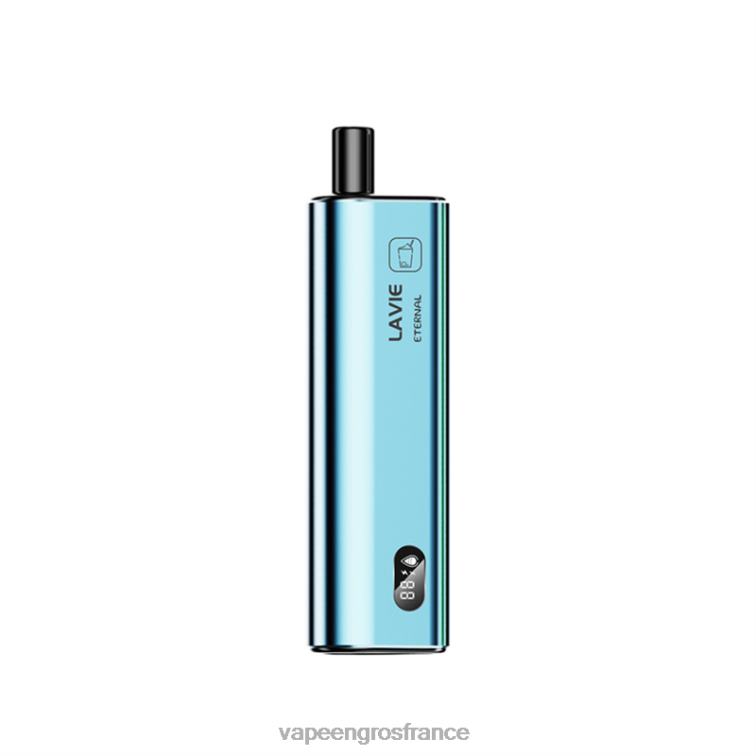 LAVIE ETERNAL 10000 bouffées 480L0125 | Cigarette Electronique En Gros mojito