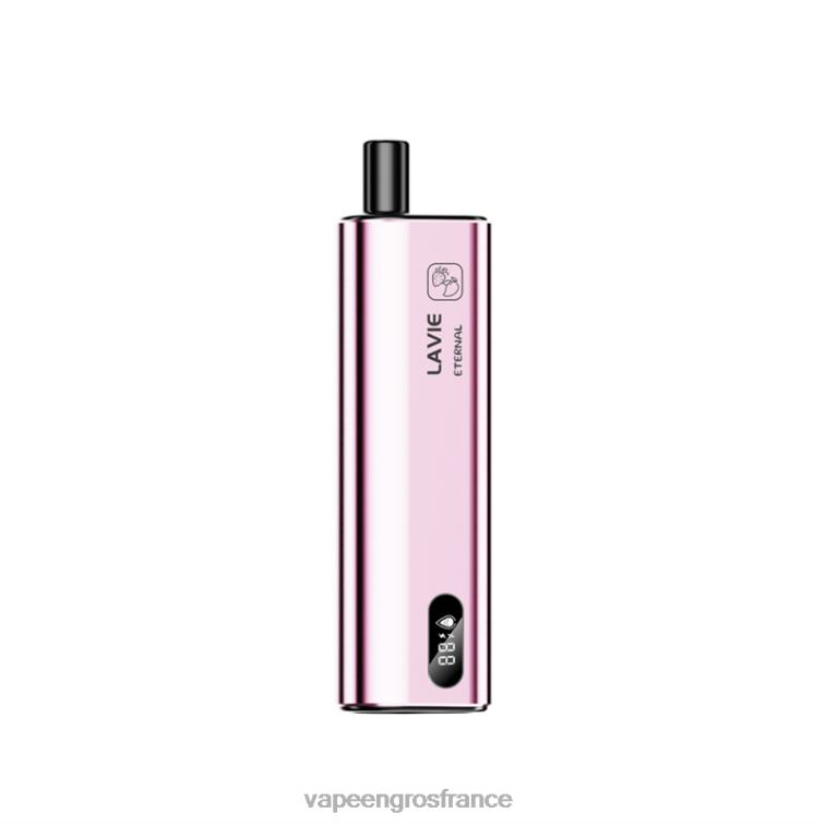 LAVIE ETERNAL 10000 bouffées 480L0127 | Vapoteuse En Gros glace à la fraise et à la mangue