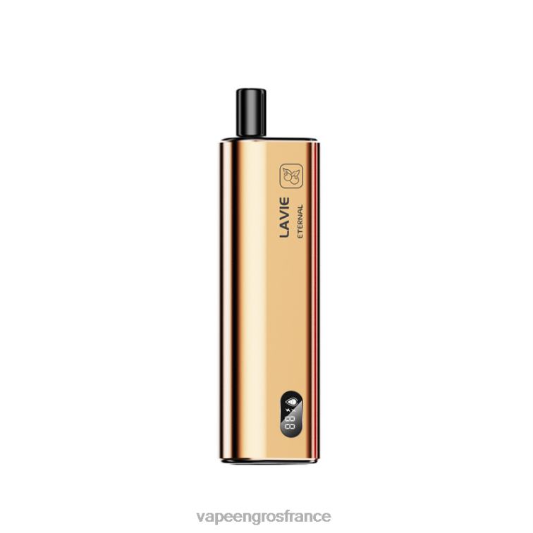 LAVIE ETERNAL 10000 bouffées 480L0128 | Vape France Prix baies mélangées