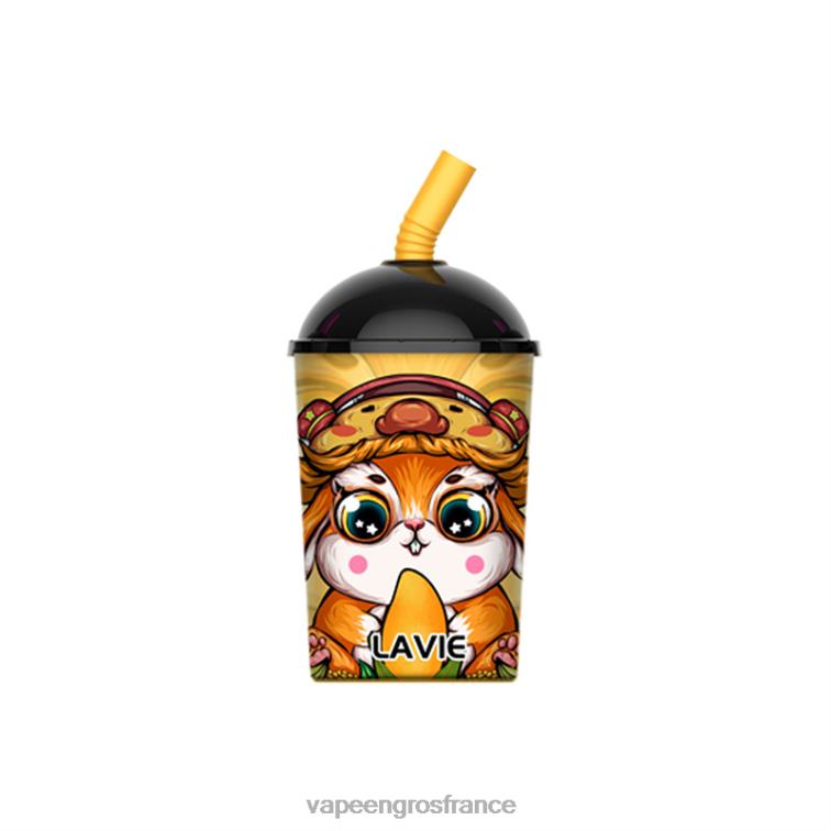 glace à la mangue