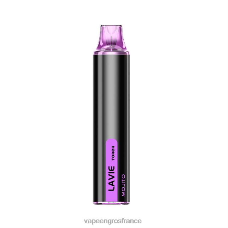 LAVIE Torch 6000 bouffées 480L0133 | Eliquide France mojito