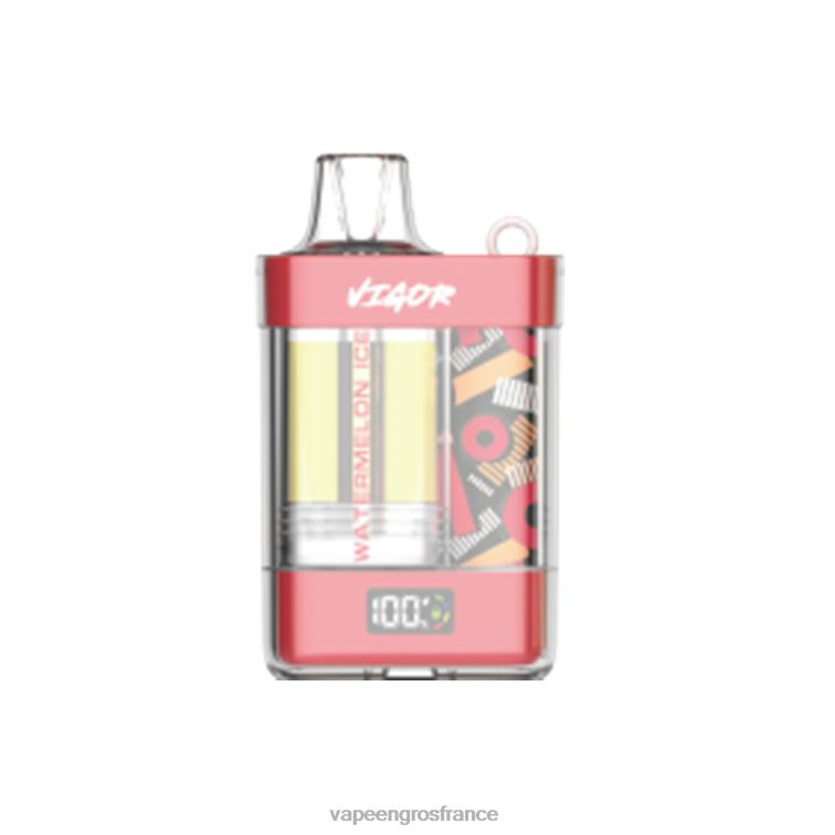 LAVIE VIGOR 15000 bouffées 480L010 | Vape France Online glace à la pastèque