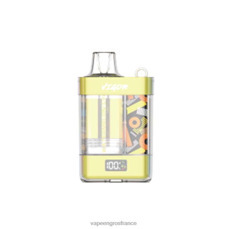 LAVIE VIGOR 15000 bouffées 480L011 | Vape En Gros France litchi pastèque