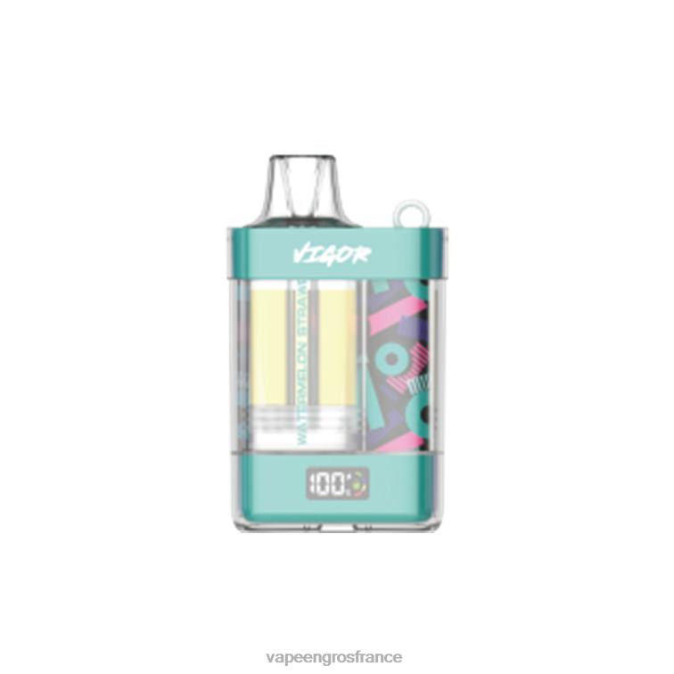 LAVIE VIGOR 15000 bouffées 480L012 | Vape France Paris fraise pastèque