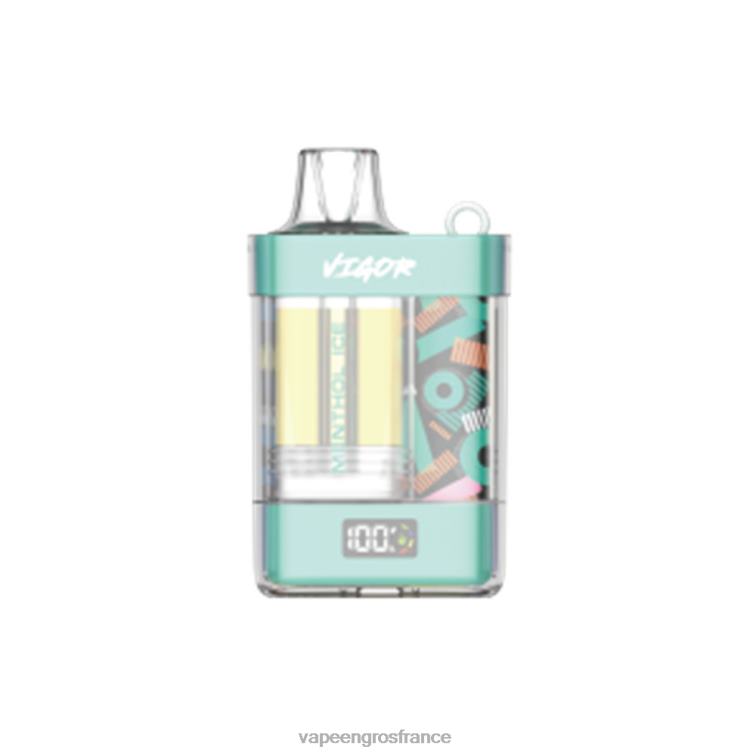 LAVIE VIGOR 15000 bouffées 480L02 | Vape France Paris glace mentholée
