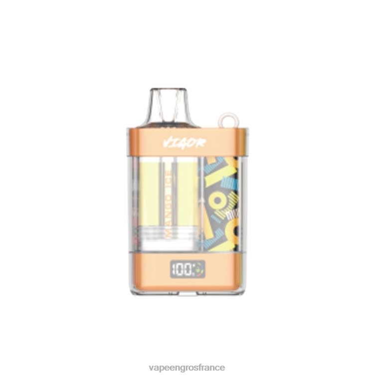 LAVIE VIGOR 15000 bouffées 480L03 | Eliquide France glace à la mangue
