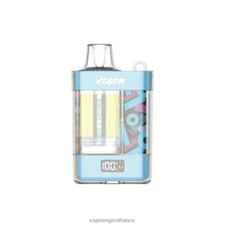 LAVIE VIGOR 15000 bouffées 480L04 | Cigarette Electronique France litchi glacé