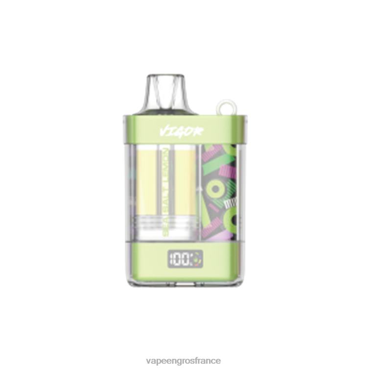 LAVIE VIGOR 15000 bouffées 480L07 | Vapoteuse En Gros citron au sel de mer