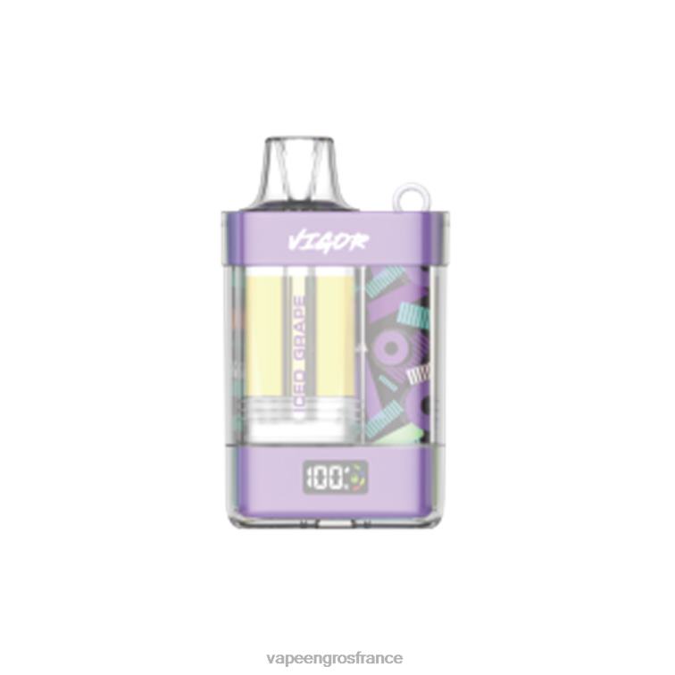 LAVIE VIGOR 15000 bouffées 480L08 | Vape France Prix raisin glacé