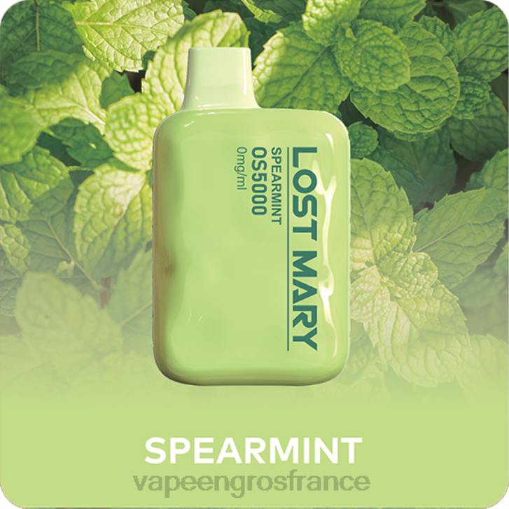 02JZ506 - Vapoteuse En Gros menthe verte LOST MARY OS5000 0 mg/ml