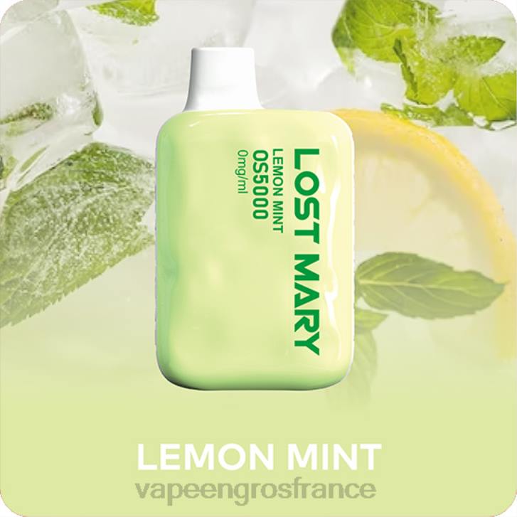 02JZ510 - Vape En Gros France menthe citronnée LOST MARY OS5000 0 mg/ml