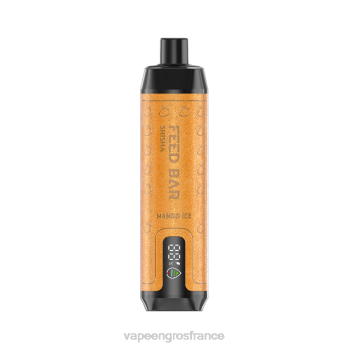 Cigarette Electronique En Gros LZ6J103 Vapsolo SHISHA vape jetable glace à la mangue