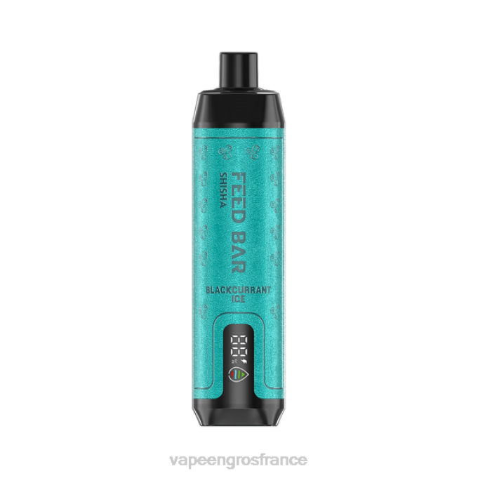 Cigarette Electronique En Gros LZ6J96 Vapsolo SHISHA vape jetable glace au cassis