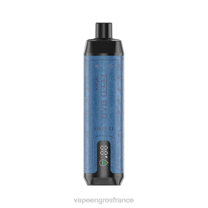 Cigarette Electronique France LZ6J95 Vapsolo SHISHA vape jetable glace aux baies