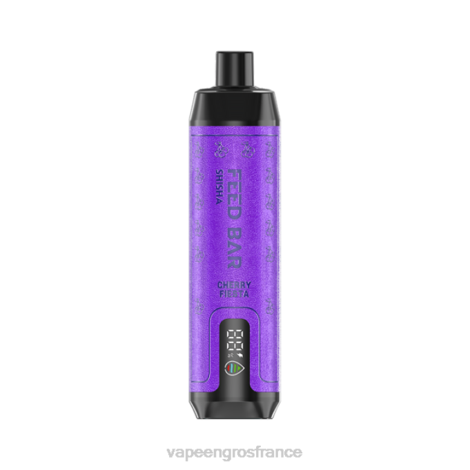 Vape En Gros France LZ6J99 Vapsolo SHISHA vape jetable fête des cerises