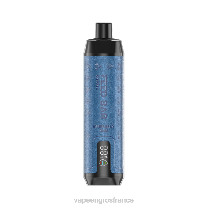 Vapoteuse En Gros LZ6J98 Vapsolo SHISHA vape jetable gomme de myrtille