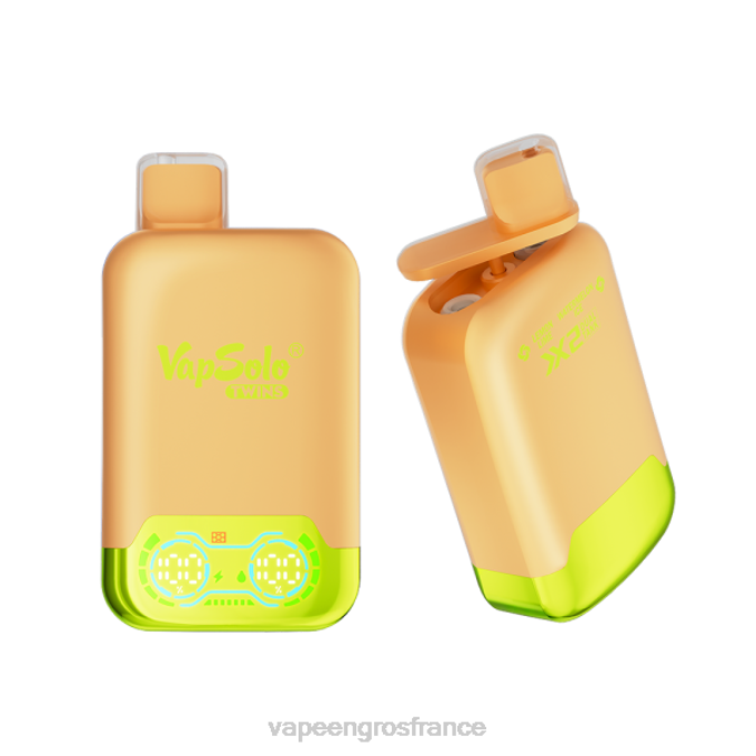 Cigarette Electronique France LZ6J123 Vapsolo TWINS vape jetable glace citron vert & pastèque